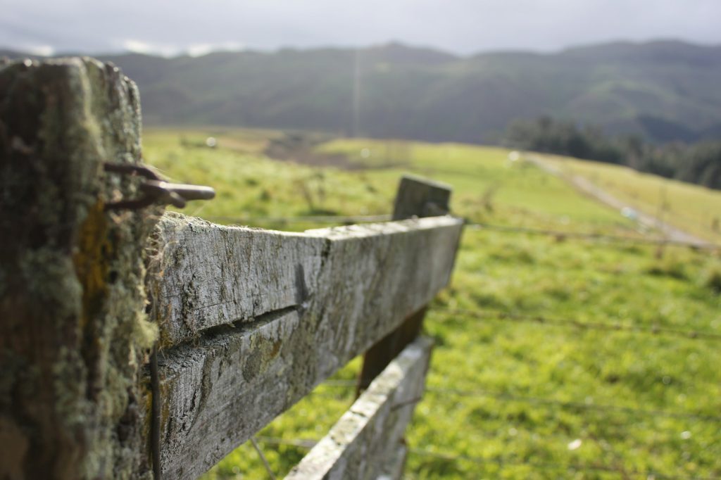 brown wooden fence on green grass field during daytime